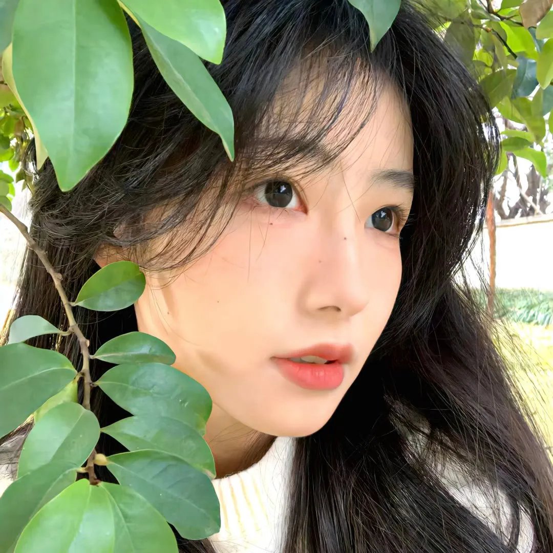 红菱艳